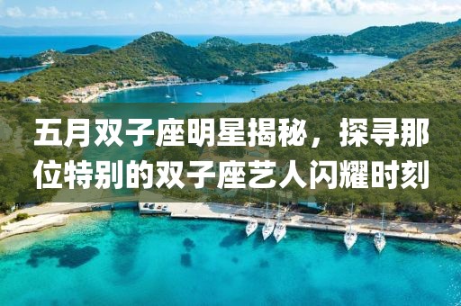 五月双子座明星揭秘，探寻那位特别的双子座艺人闪耀时刻