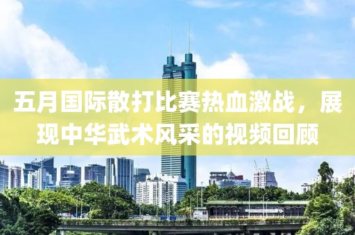 五月国际散打比赛热血激战，展现中华武术风采的视频回顾