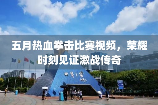 五月热血拳击比赛视频，荣耀时刻见证激战传奇