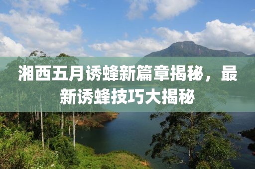 湘西五月诱蜂新篇章揭秘，最新诱蜂技巧大揭秘