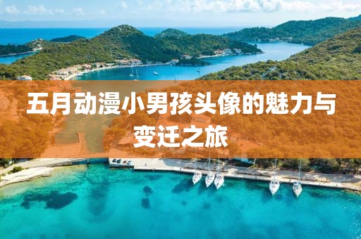 五月动漫小男孩头像的魅力与变迁之旅
