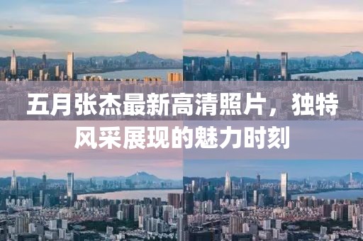 五月张杰最新高清照片，独特风采展现的魅力时刻