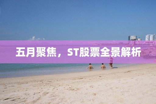 五月聚焦，ST股票全景解析