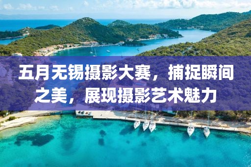 五月无锡摄影大赛，捕捉瞬间之美，展现摄影艺术魅力