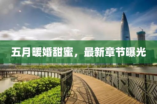 五月暖婚甜蜜，最新章节曝光