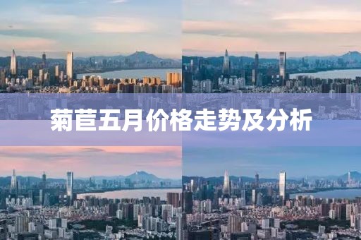 菊苣五月价格走势及分析