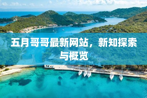 五月哥哥最新网站，新知探索与概览