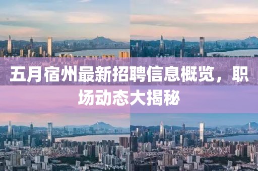五月宿州最新招聘信息概览，职场动态大揭秘