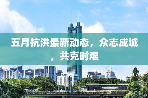 五月抗洪最新动态，众志成城，共克时艰