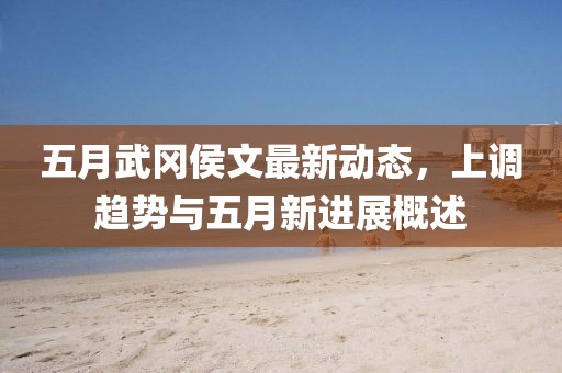 五月武冈侯文最新动态，上调趋势与五月新进展概述