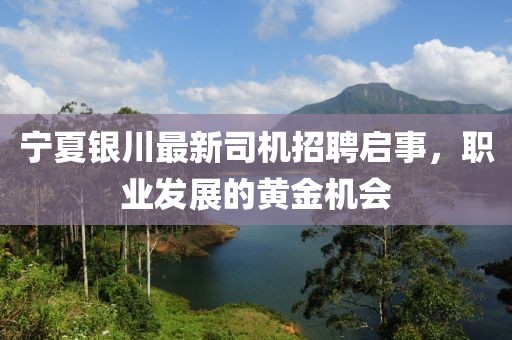 宁夏银川最新司机招聘启事，职业发展的黄金机会