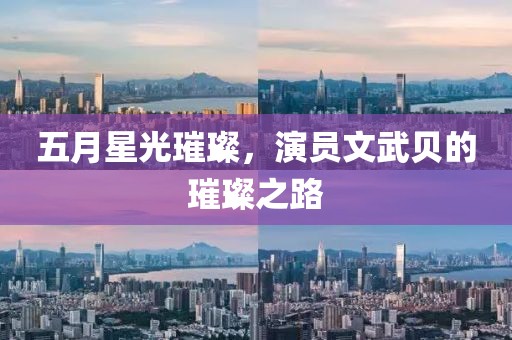 五月星光璀璨，演员文武贝的璀璨之路
