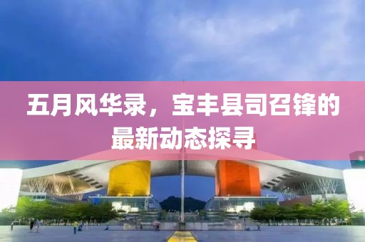 五月风华录，宝丰县司召锋的最新动态探寻