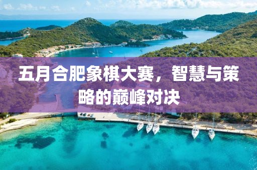 五月合肥象棋大赛，智慧与策略的巅峰对决