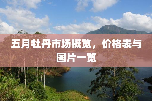 五月牡丹市场概览，价格表与图片一览