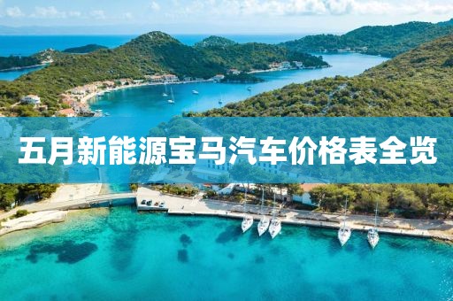 五月新能源宝马汽车价格表全览
