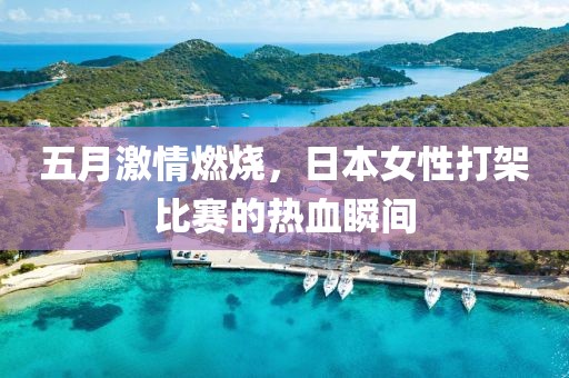 五月激情燃烧，日本女性打架比赛的热血瞬间