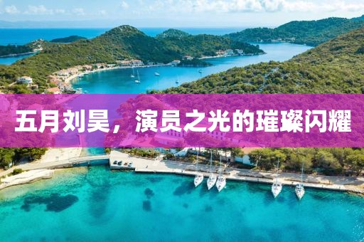 五月刘昊，演员之光的璀璨闪耀