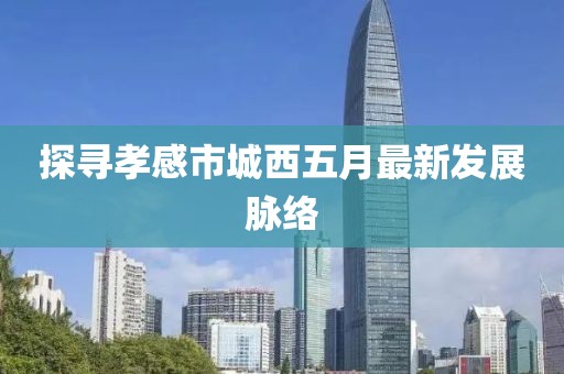 探寻孝感市城西五月最新发展脉络