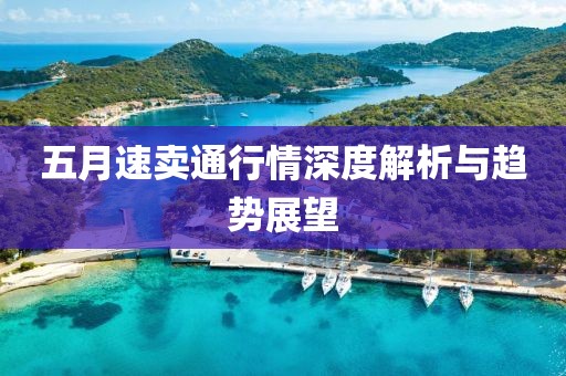 五月速卖通行情深度解析与趋势展望