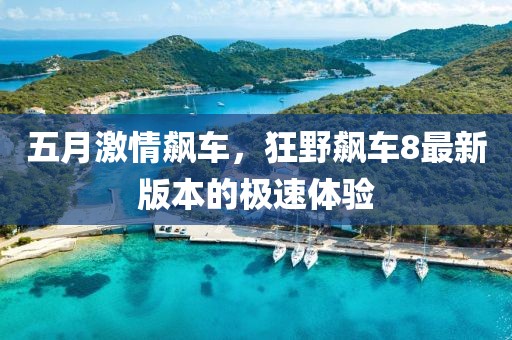 五月激情飙车，狂野飙车8最新版本的极速体验