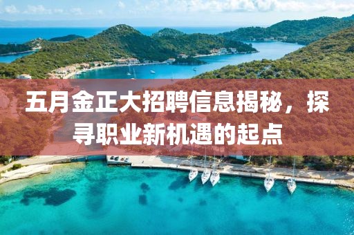 五月金正大招聘信息揭秘，探寻职业新机遇的起点