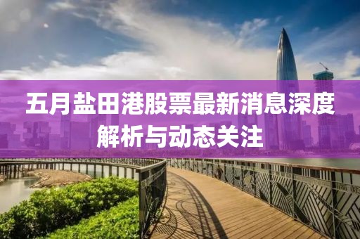 五月盐田港股票最新消息深度解析与动态关注
