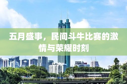 五月盛事，民间斗牛比赛的激情与荣耀时刻
