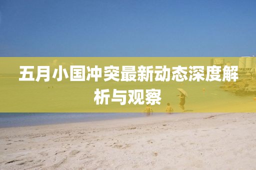 五月小国冲突最新动态深度解析与观察