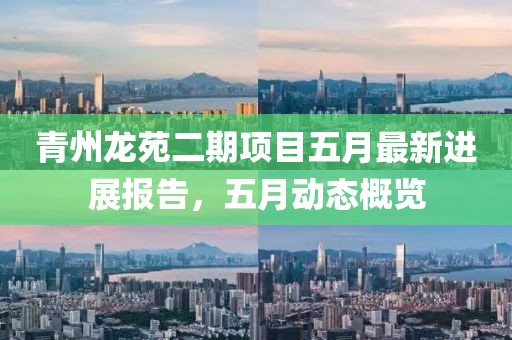 青州龙苑二期项目五月最新进展报告，五月动态概览