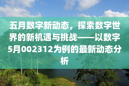 五月数字新动态，探索数字世界的新机遇与挑战——以数字5月002312为例的最新动态分析