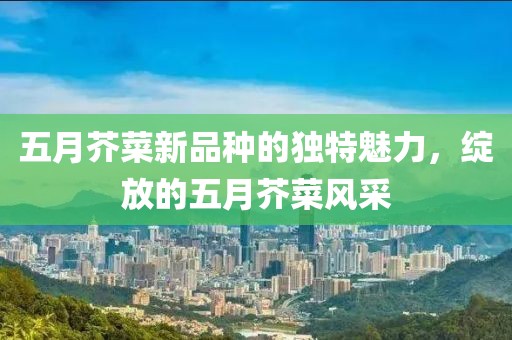 五月芥菜新品种的独特魅力，绽放的五月芥菜风采