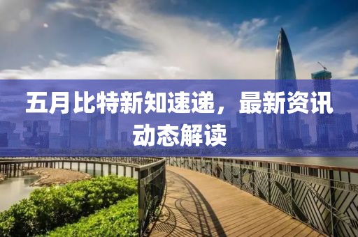 五月比特新知速递，最新资讯动态解读