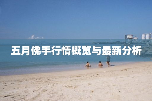 五月佛手行情概览与最新分析