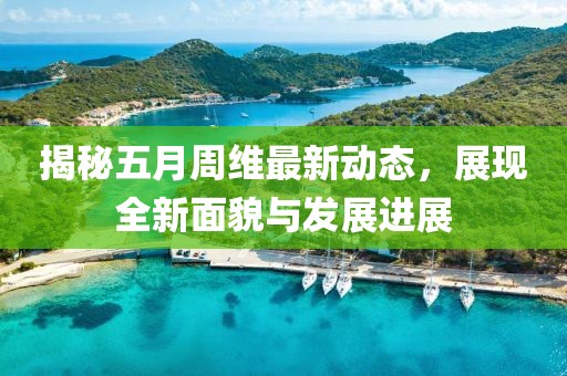 揭秘五月周维最新动态，展现全新面貌与发展进展