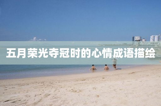 五月荣光夺冠时的心情成语描绘
