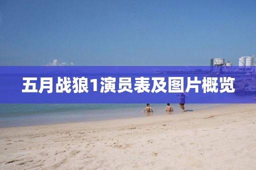 五月战狼1演员表及图片概览