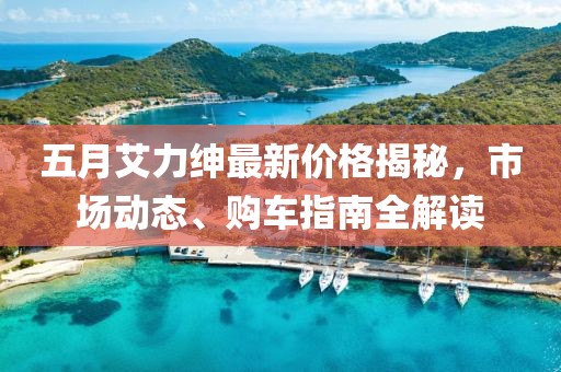 五月艾力绅最新价格揭秘，市场动态、购车指南全解读