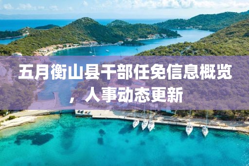 五月衡山县干部任免信息概览，人事动态更新