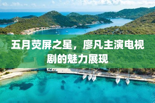 五月荧屏之星，廖凡主演电视剧的魅力展现