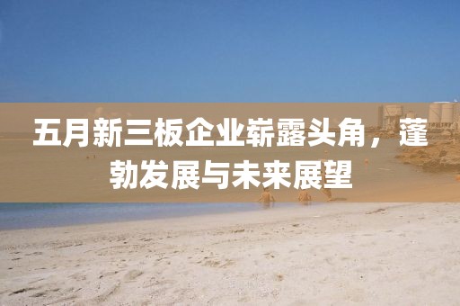 五月新三板企业崭露头角，蓬勃发展与未来展望