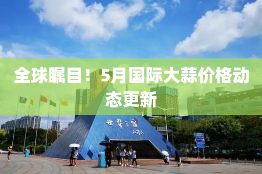 全球瞩目！5月国际大蒜价格动态更新