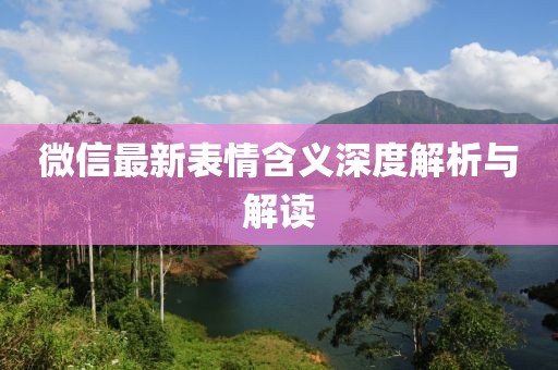 微信最新表情含义深度解析与解读
