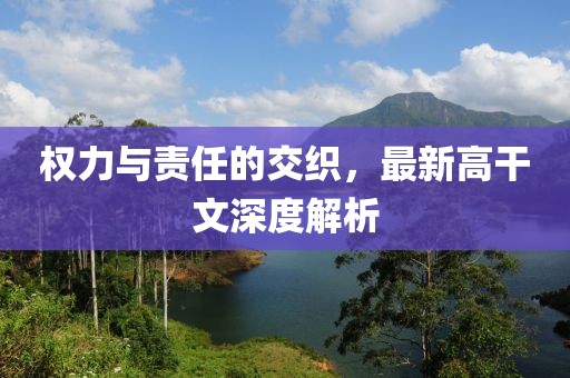 权力与责任的交织，最新高干文深度解析