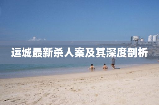 运城最新杀人案及其深度剖析