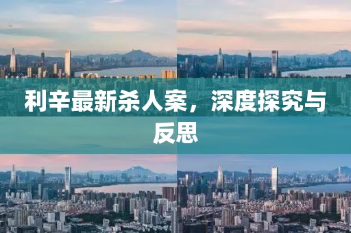 利辛最新杀人案，深度探究与反思
