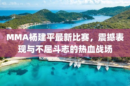 MMA杨建平最新比赛，震撼表现与不屈斗志的热血战场