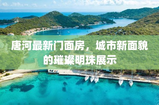 唐河最新门面房，城市新面貌的璀璨明珠展示