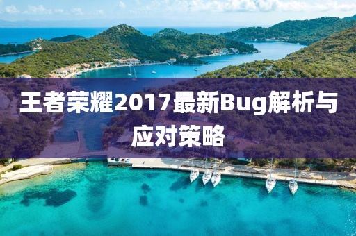 王者荣耀2017最新Bug解析与应对策略