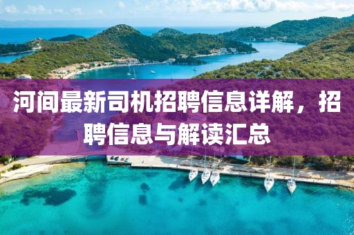 河间最新司机招聘信息详解，招聘信息与解读汇总